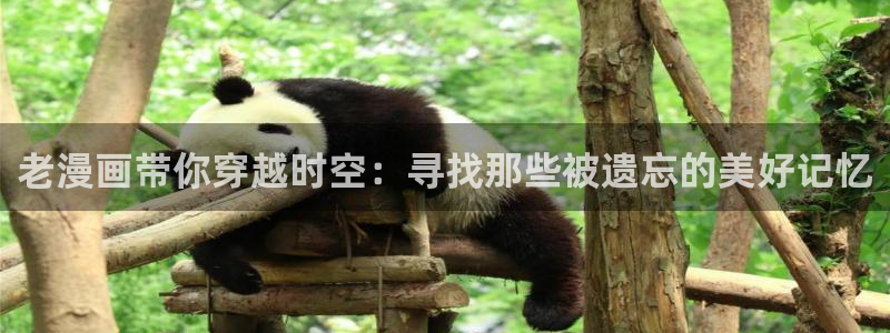 漫蛙漫画2苹果版：老漫画带你穿越时空：寻找那些被遗忘的美好记忆